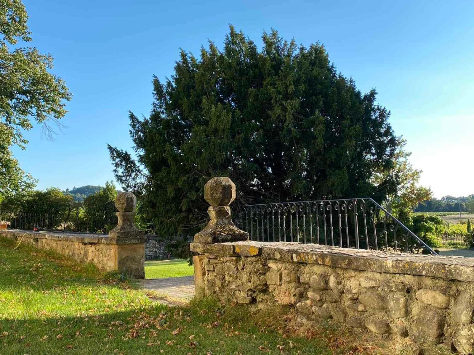 Chateau Montplaisir Charming B&B In Provence Valréas Eksteriør bilde